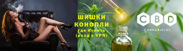 ешки Алексин