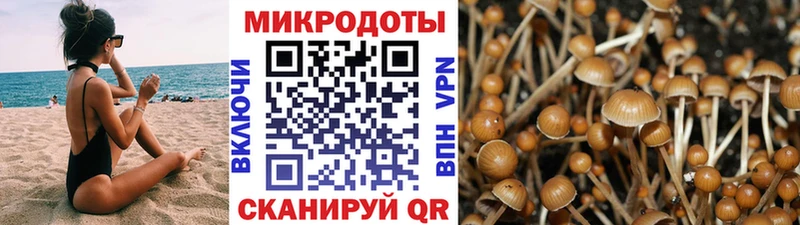 продажа наркотиков  Елабуга  Галлюциногенные грибы Magic Shrooms 