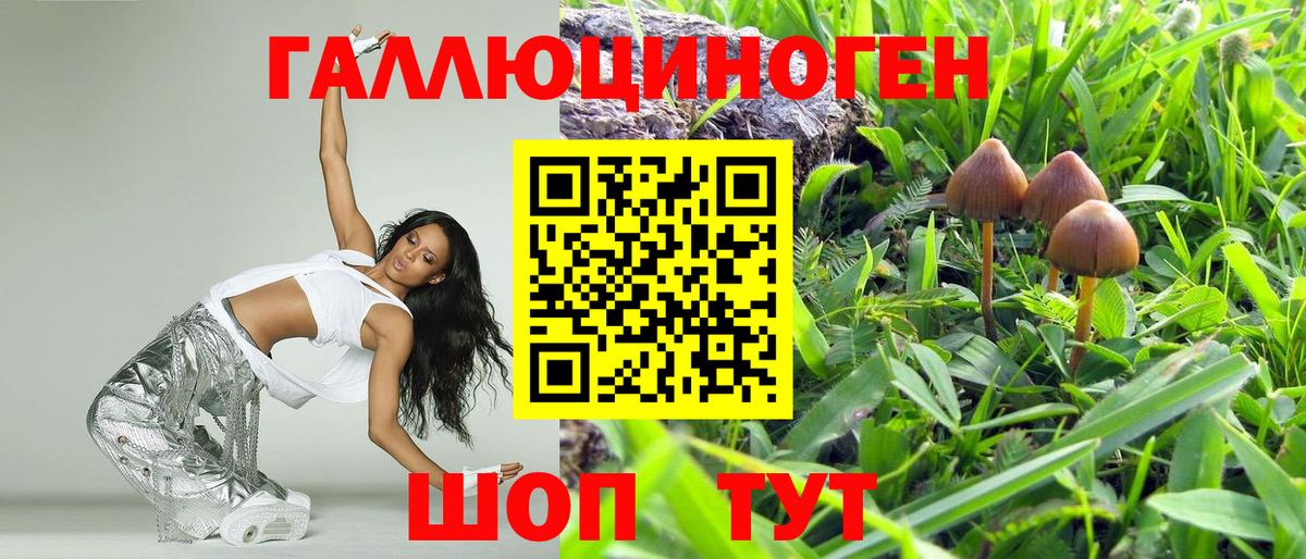 Галлюциногенные грибы Magic Shrooms Елабуга