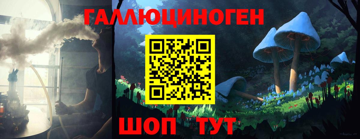 Галлюциногенные грибы прущие грибы  Вход с VPN  Елабуга 